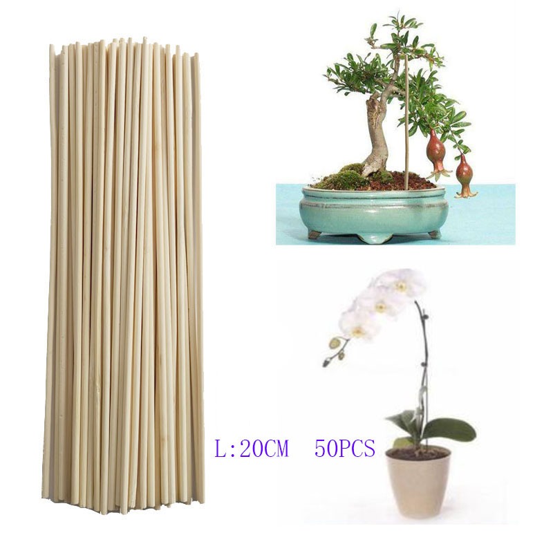 Art Craft Stick - 50개 20CM 대나무 막대 자연스러운 미완성