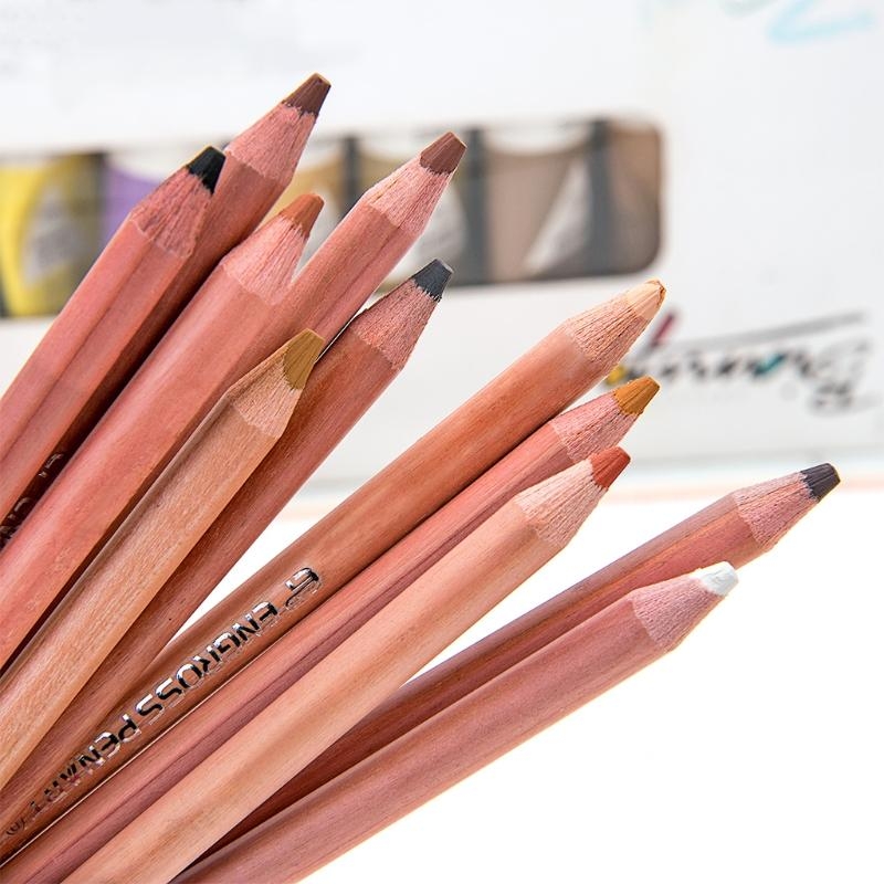 Colored Pencil Professional - 12개입 전문가용 소프트 파스텔 연필 피부색